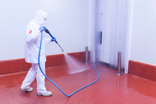 Best Machinery and Equipment Cleaning  in St Michaels, MD